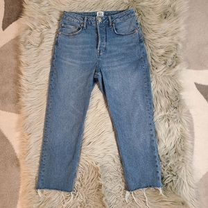 BDG Dillion High Rise Cropped Button Fly Jeans
